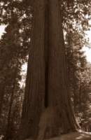 National Parks In The Usa National Parks In The Usa