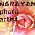 Narayan Beauty